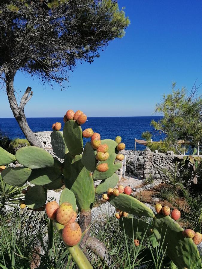 Villa Marigiosa Salento ماريتيما المظهر الخارجي الصورة