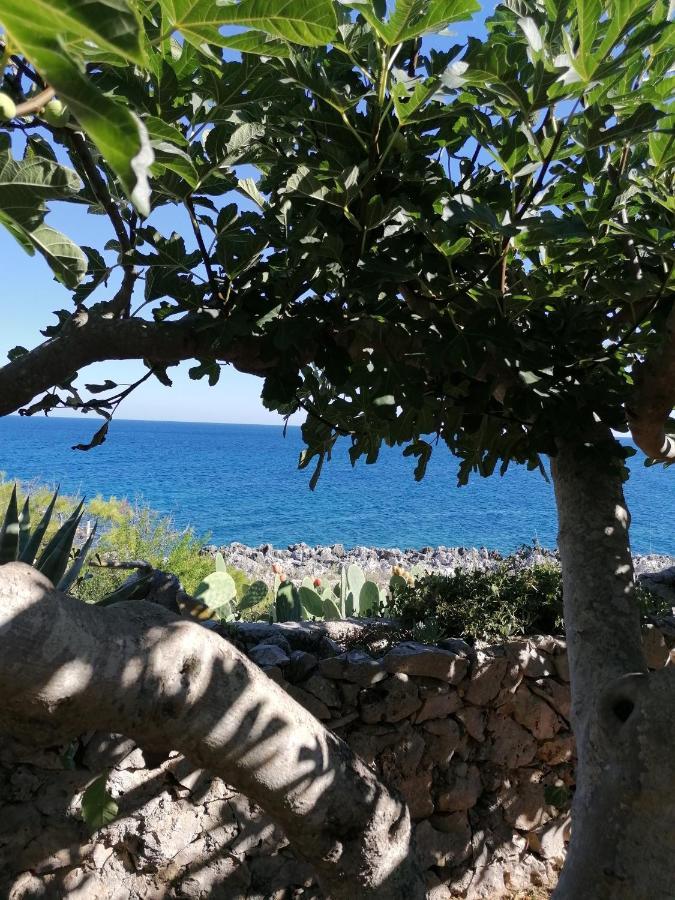 Villa Marigiosa Salento ماريتيما المظهر الخارجي الصورة