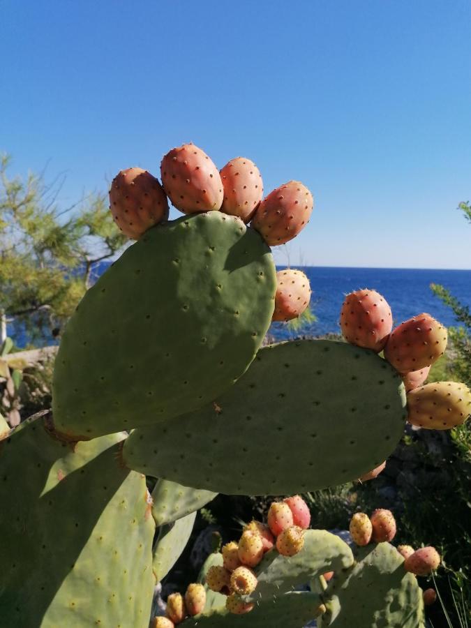 Villa Marigiosa Salento ماريتيما المظهر الخارجي الصورة