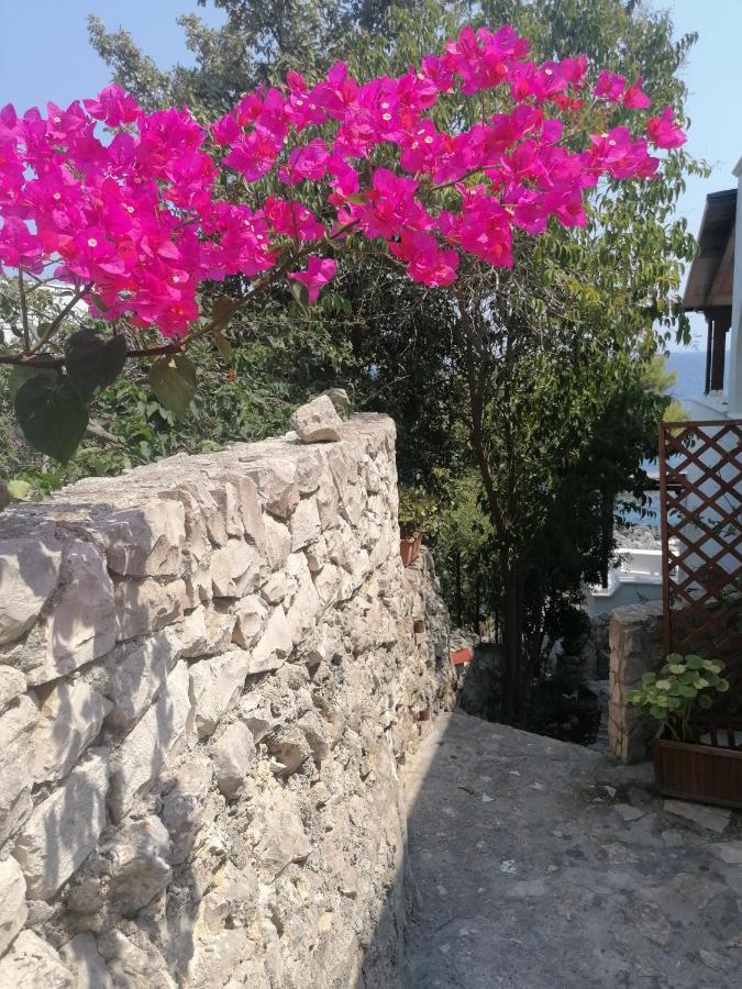 Villa Marigiosa Salento ماريتيما المظهر الخارجي الصورة